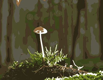 Mushroom Bitmap