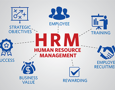 HRM là gì? Sự khác biệt giữa HRM và HRD