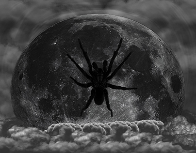 spider on moon