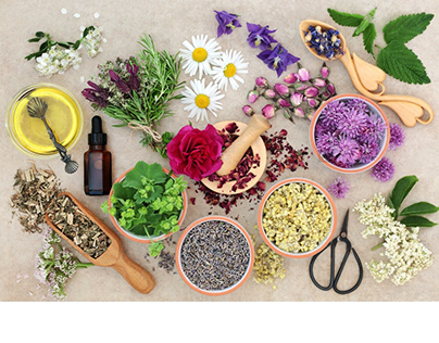 Essential Oils for a Healthy Respiratory System