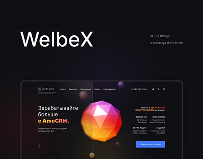 WelbeX website design