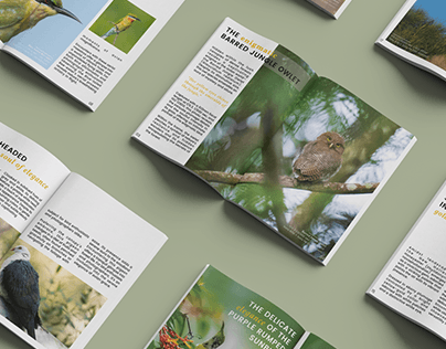Birdscape Magazine - Layout Design