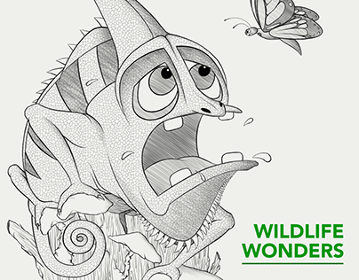 Wildlife Wonders Illustrations