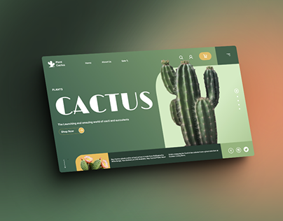 CACTUS WEBSLIDE DESIGN