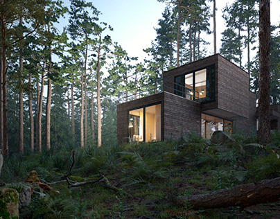 Sustainable Housing - Prefab Home In The Woods
