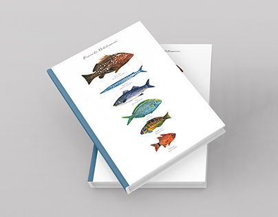 Illustration de poissons de Méditerranée