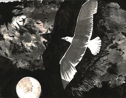 Illustrations for the "Jonathan Livingston Seagull"