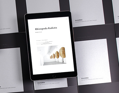 INVISIBLE – an exhibition catalogue for the iPad