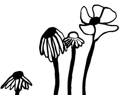 Kwiaty - ilustracja tuszem
