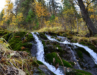 Waterfall in the Altai Mountains
