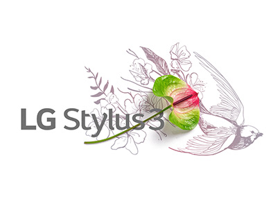 LG Stylus