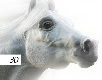White Horse 3D