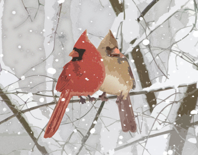 Cardinals in Snow