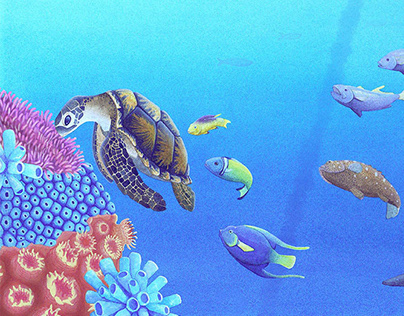 Coral Reef Illustration