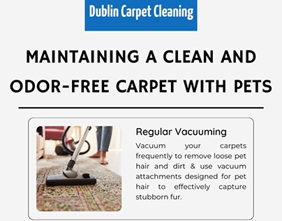 Maintaining a Clean and Odor-Free Carpet with Pets