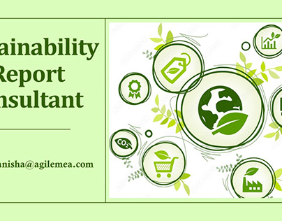 Sustainability Report Consultant