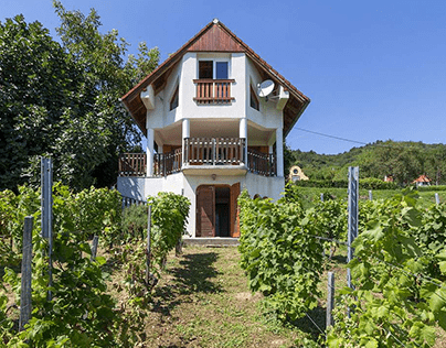 Haus am Balaton mit 180 Grad Seesicht zu verkaufen
