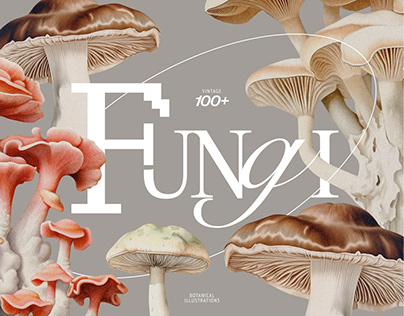 Fungi - vintage botanical illustrations