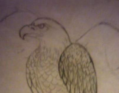 Eagle Drawing.