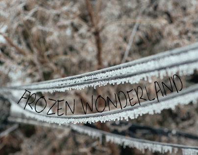 Frozen Wonderland
