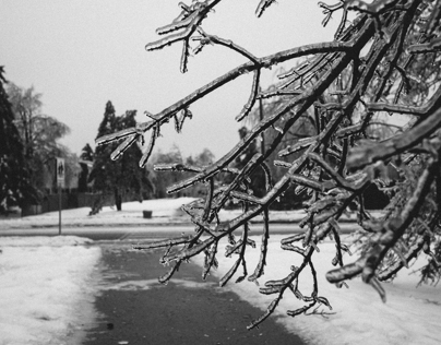 Icestorm 2013 // Black & White Collection