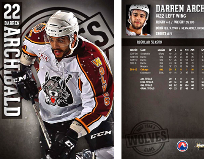 Chicago Wolves 2012-13 Trading Cards