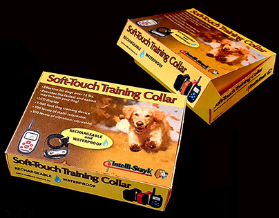 Prototype (mock-up) of Soft-Touch Training Collar Box