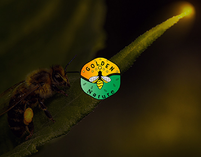 Project thumbnail - Golden Nature Honey