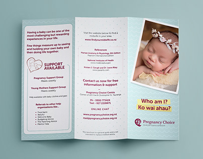Pregnancy Choice (Trifold Brochure)
