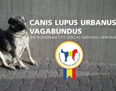 Canis Lupus Urbanus Vagabundus