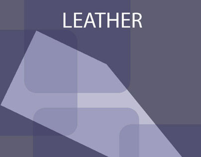 Leather exploration