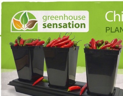 Greenhouse Sensation 2007-2010
