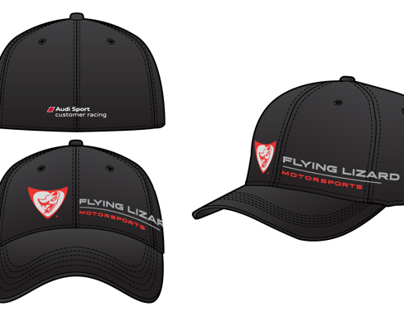 Flying Lizard Motorsports Collateral