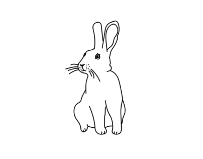 Basic Rabbit Graphic