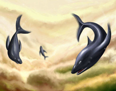 Dolphins Flight
