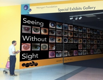 Seeing Without Sight