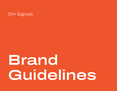 Project thumbnail - DN Signals Logo Branding | Brand Guide