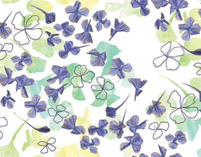 Pressed Flower Print Collection