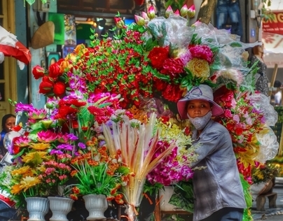 Vietnamese Flowers