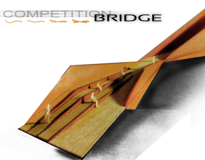 Bridge Competition Project