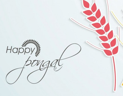 Happy Pongal Wallpaper Image