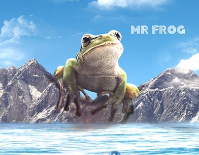 Mr. Frog II