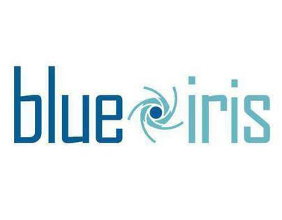 Blue Iris Creative Agency