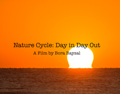 Nature Cycle: Day in Day out