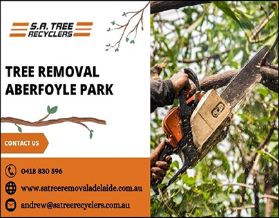 Tree Removal Aberfoyle Park