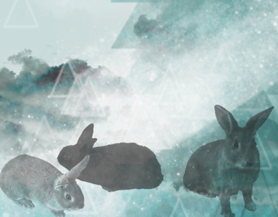 Bunnies in The Sky Graphic