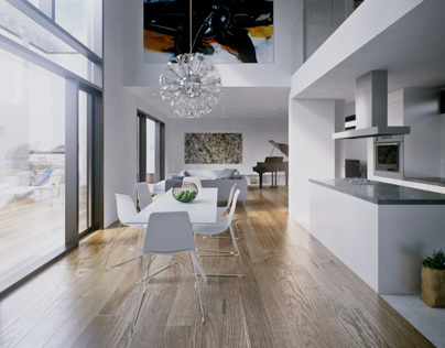 Architect's home interior visualization