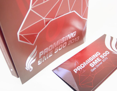 Promising SME 500 2013