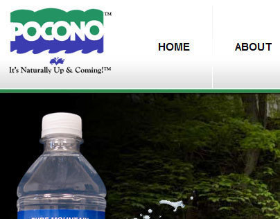 Pocono Springs Company™ Website