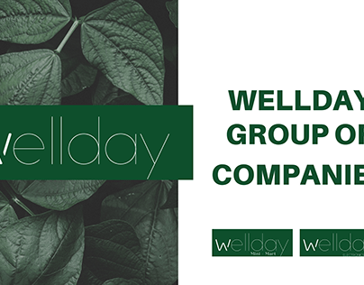 Brochure Presentation for Wellday Group